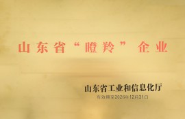 山东省瞪羚企业